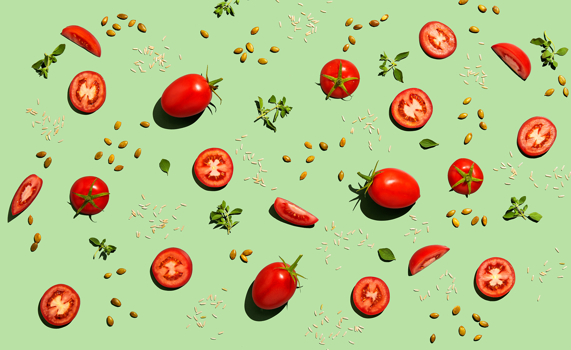 NowPlanting-Ingredients-Tomato